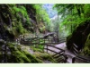 Gorges mystérieuses de Tête Noire im Vallée du Trient