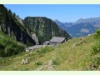 Am Fuss des Vanil Noir in Grandvillard