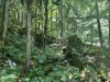 Ruine de la Mort in Les Bois