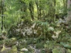 Ruine de la Mort in Les Bois