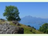 Pilatus und Vierwaldstättersee von der Seebodenalp aus