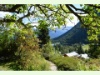 Jardin botanique und Lac de Champex