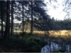 Etang de la Gruere in Saignelegier 4
