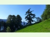 Auf dem Weg der Schweiz 1
