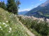 Massaschlucht mit Blick aufs Rhonetal