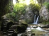 Tine de Conflens in La Sarraz 1