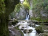 Tine de Conflens in La Sarraz