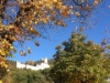 Schloss Neu Bechburg in Oensingen